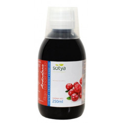 Arandano.r concent 250ml sotya