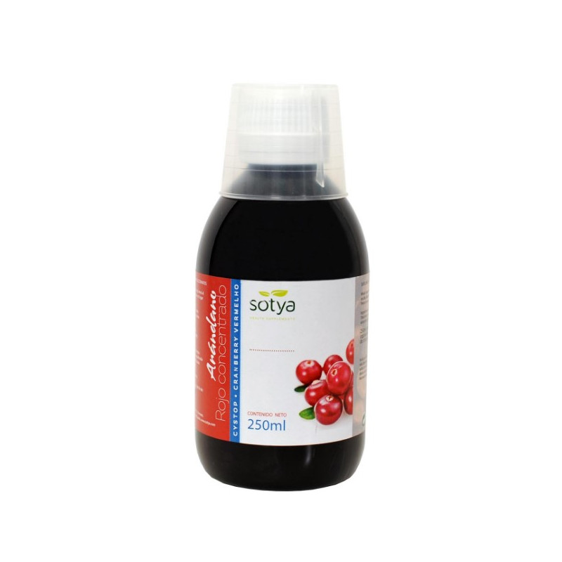 Arandano.r concent 250ml sotya