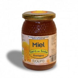 Miel eucalipto 1-k eco sierras