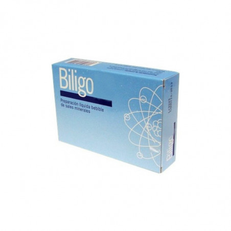 Biligo 15 20amp