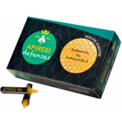 Apiregi defensas 20viales