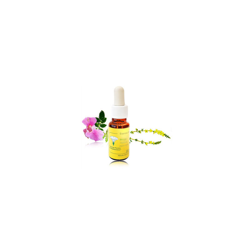 Centaura mediterraneo flor 20ml