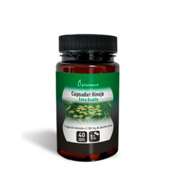 Hinojo capsudiet 40cp. plameca