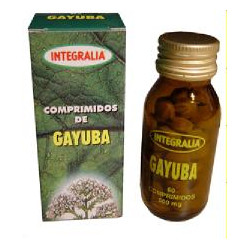 Gayuba 500mg 60comp integralia