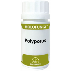 Holofungi polyporus 50caps equ