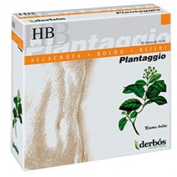 Plantagio hb 20amp.derbos