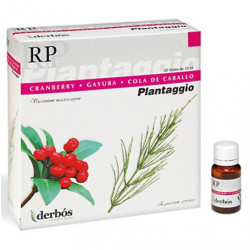 Plantaggio rp 20amp.derbos
