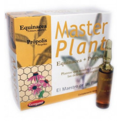Masterplan equinacea+propo 10a