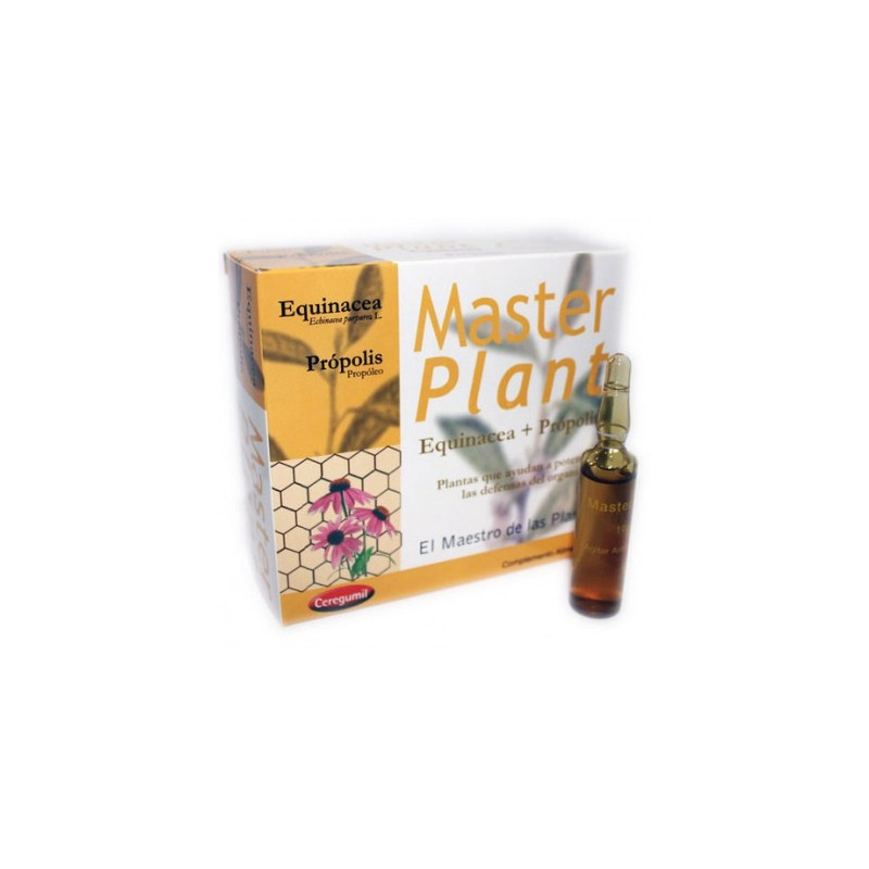 Masterplan equinacea+propo 10a