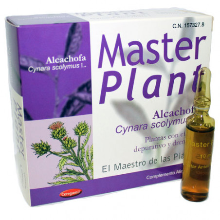 Masterplan alcachofa 20amp