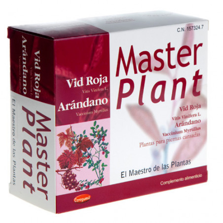 Masterplan vid roja 20amp