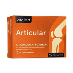 Articular 60comp vitalart n.import
