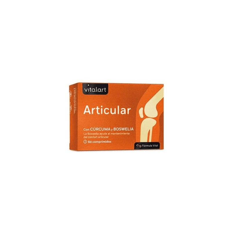 Articular 60comp vitalart n.import