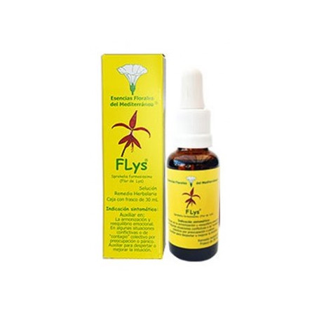Flor de lys mediterrano