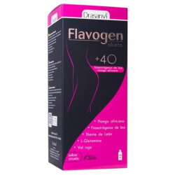 Flavogen silueta 500ml