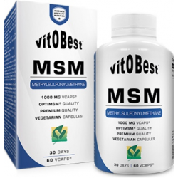 Msm 1000mg 60caps vitobest