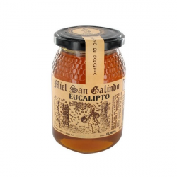 Miel eucalipto 500 s.galindo