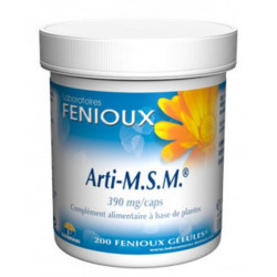 Arti-m.s.m. 390mg 200cap fenioux