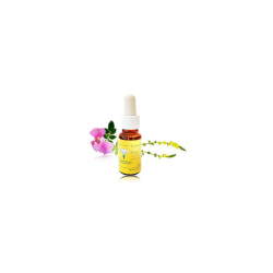 Impaciencia mediterraneo flor 20ml