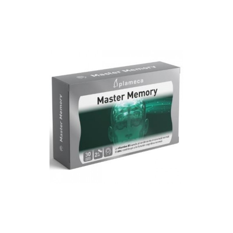 Master memory 30cap (memoplan)plameca