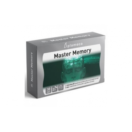 Master memory 30cap (memoplan)plameca