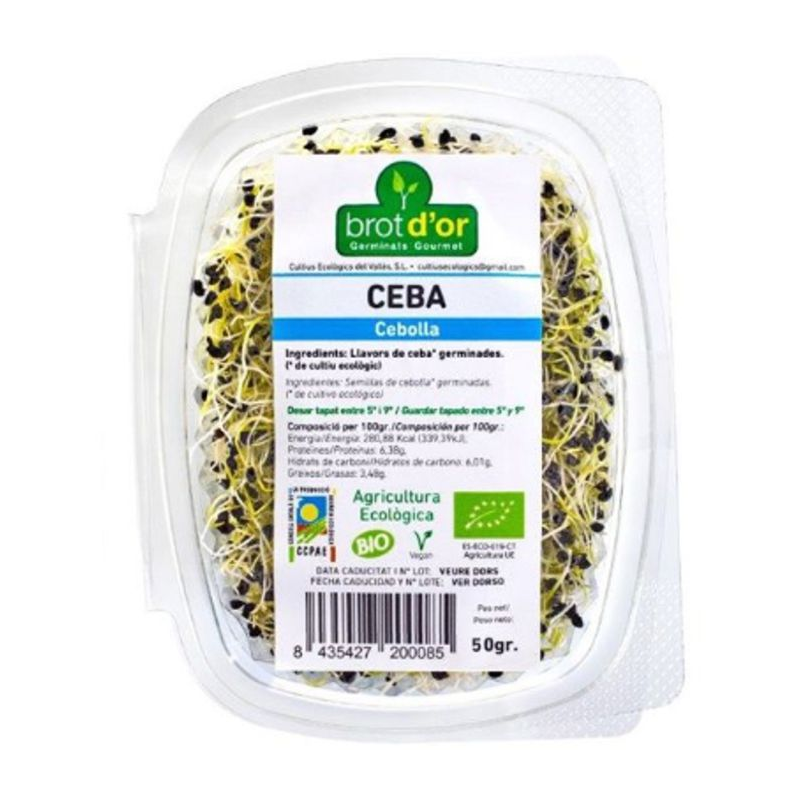 Germinado cebolla 100gr bio brotdor