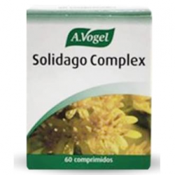 Solidago complex  60 copr.   avogel