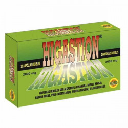 Higastion 20 amp robis