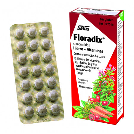 Floradix 84 comp salus