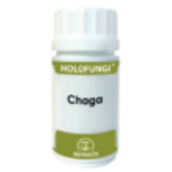 Holofungi chaga 50caps. 730mg equisalud