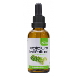 Extracto lepidium latifolium eco 50ml plantis
