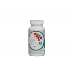 Gaba + vitamina b6 60cap plantis