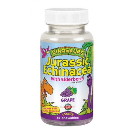 Echinacea 30dinosaurio solaray