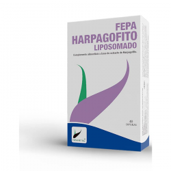 Fepa harpagofito liposomado 6000mg 40cap fepadiet