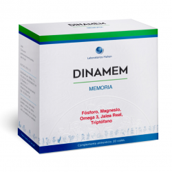 Dinamem 24 20amp mahen