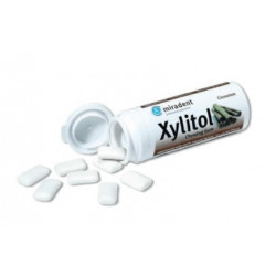 Xylitol chicle canela 30g fami grisi