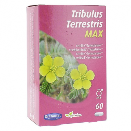 Tribulus max 650 60cap orthonat
