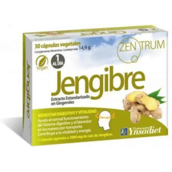 Jengibre zentrum 30cap ynsadiet