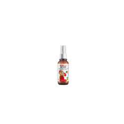 Erysim kids spray bucal 20ml