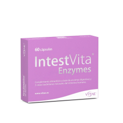 Intestvita enzymes 60cap vitae