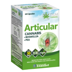 Articular cannabis zentrum 60cap ynsadiet