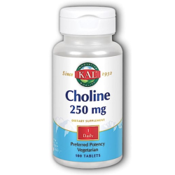 Choline 250mg 100tb kal