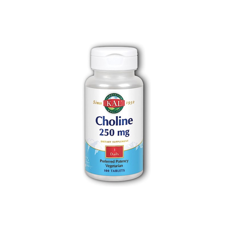 Choline 250mg 100tb kal