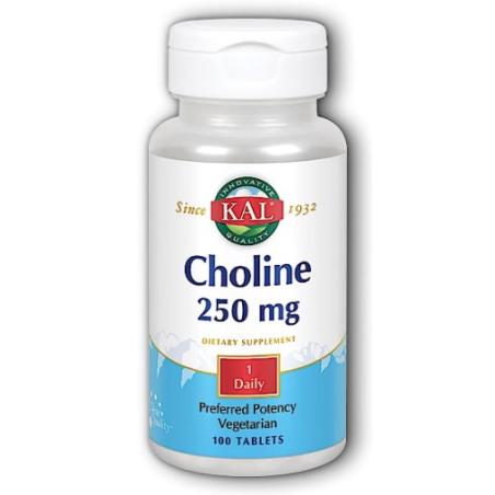 Choline 250mg 100tb kal