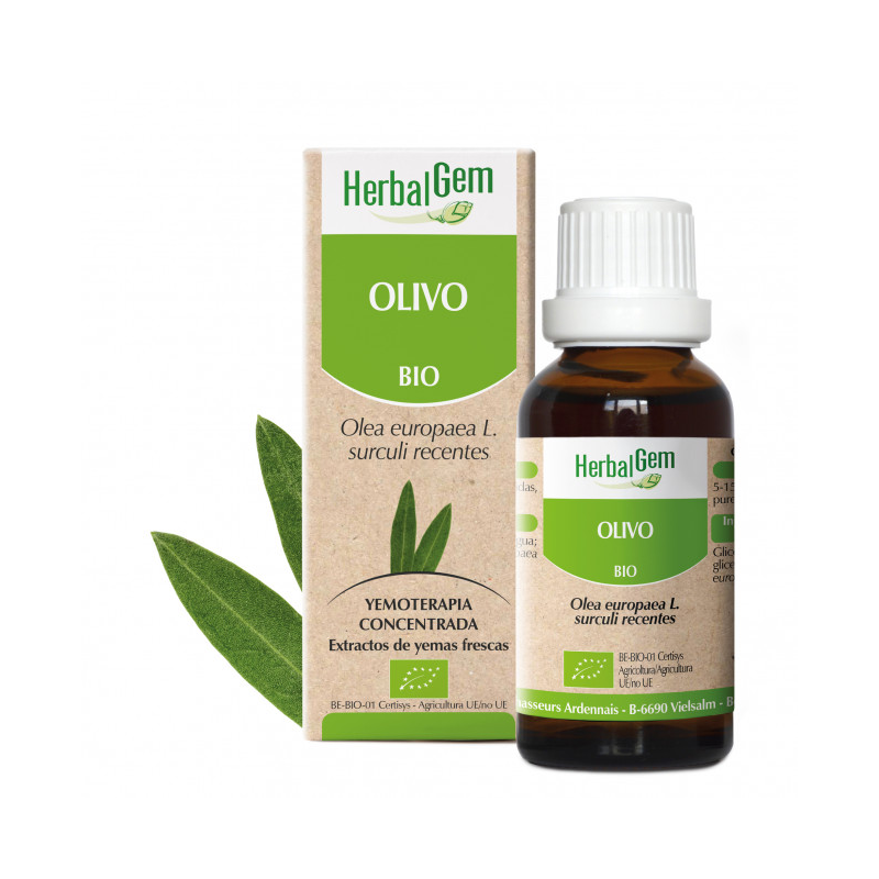 Herbalgem olivo bio 50ml