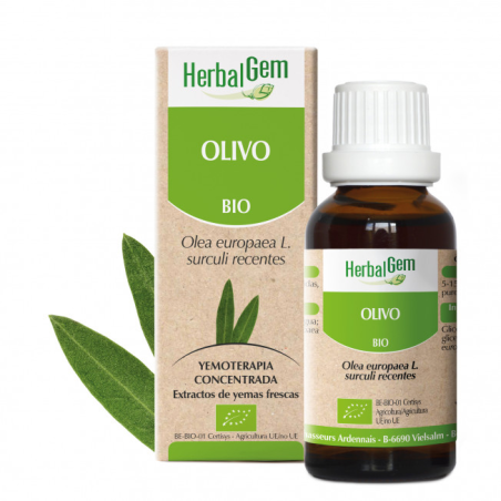 Herbalgem olivo bio 50ml