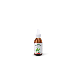 Extracto ginkgo biloba d.inter