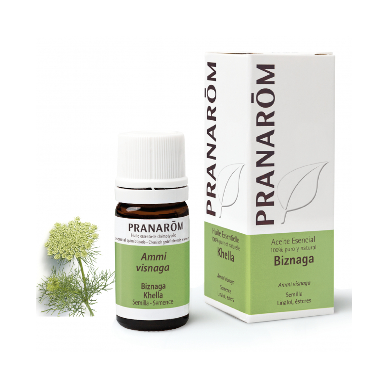 Esencia biznaga 5ml pranarom