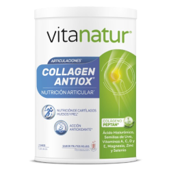 Vitanatur collagen antiox 360g