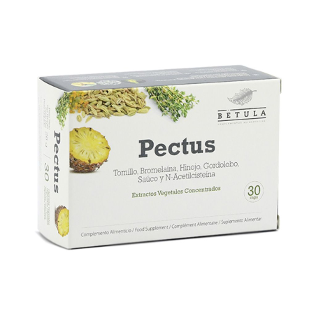 Pectus 30caps. betula